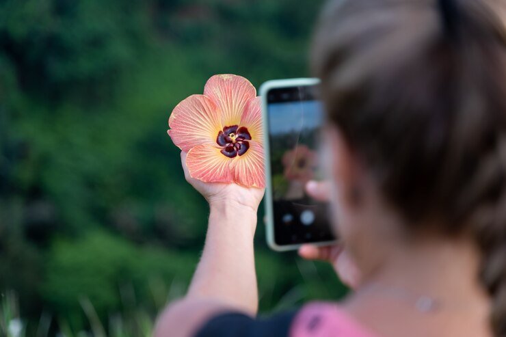 The Rise of Smartphone Photography